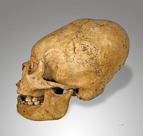 nazca-skull.jpg